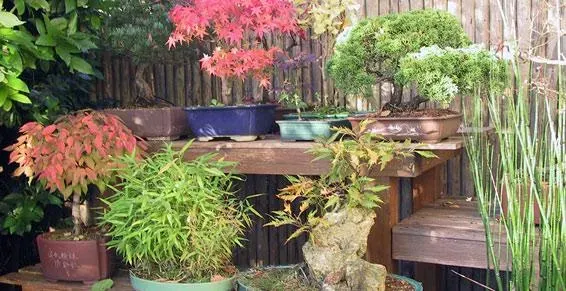 paysagiste jardins (7)