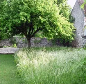 paysagiste jardins (15)