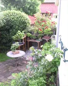 paysagiste jardins (12)